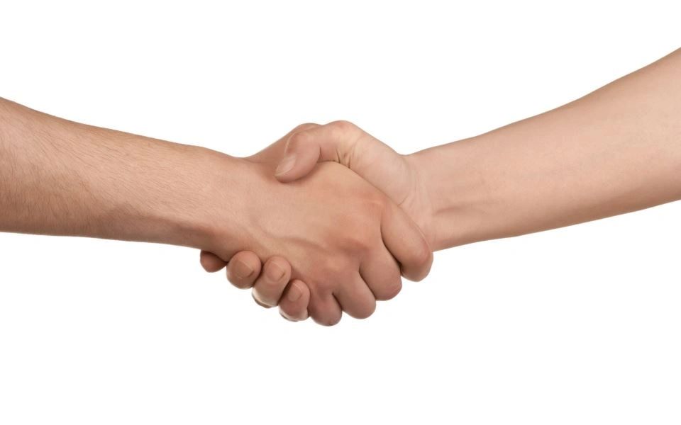 Friendly dealership staff shaking hands with a customer